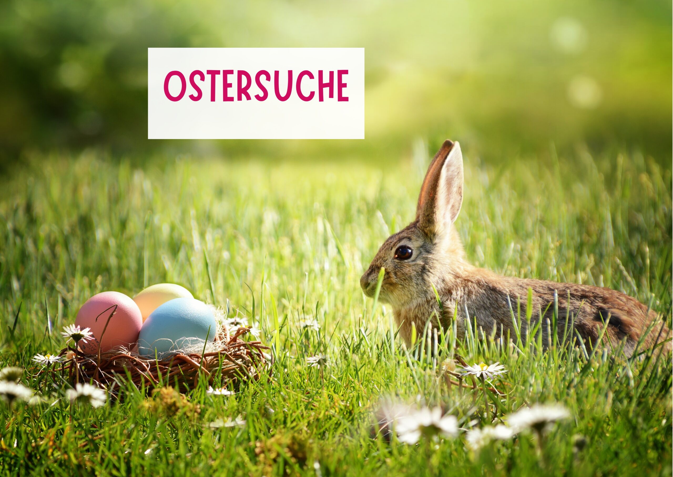 Was kommt ins Osternest für Kinder?                                7 Geschenkideen, die   wirklich benutzt werden