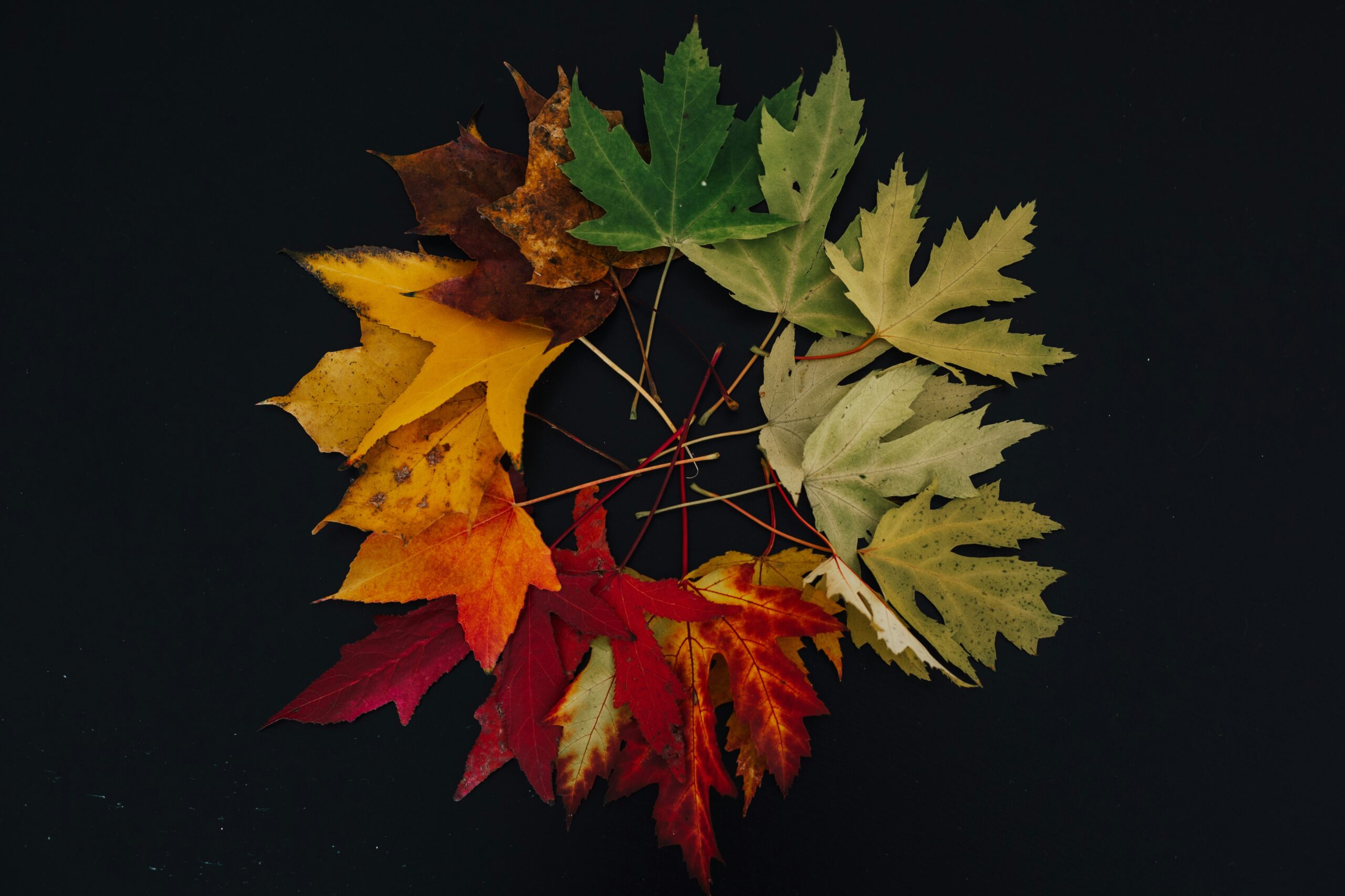 Herbstmobile mit Holzscheibe und Herbstblatt vor einem hellen Fenster