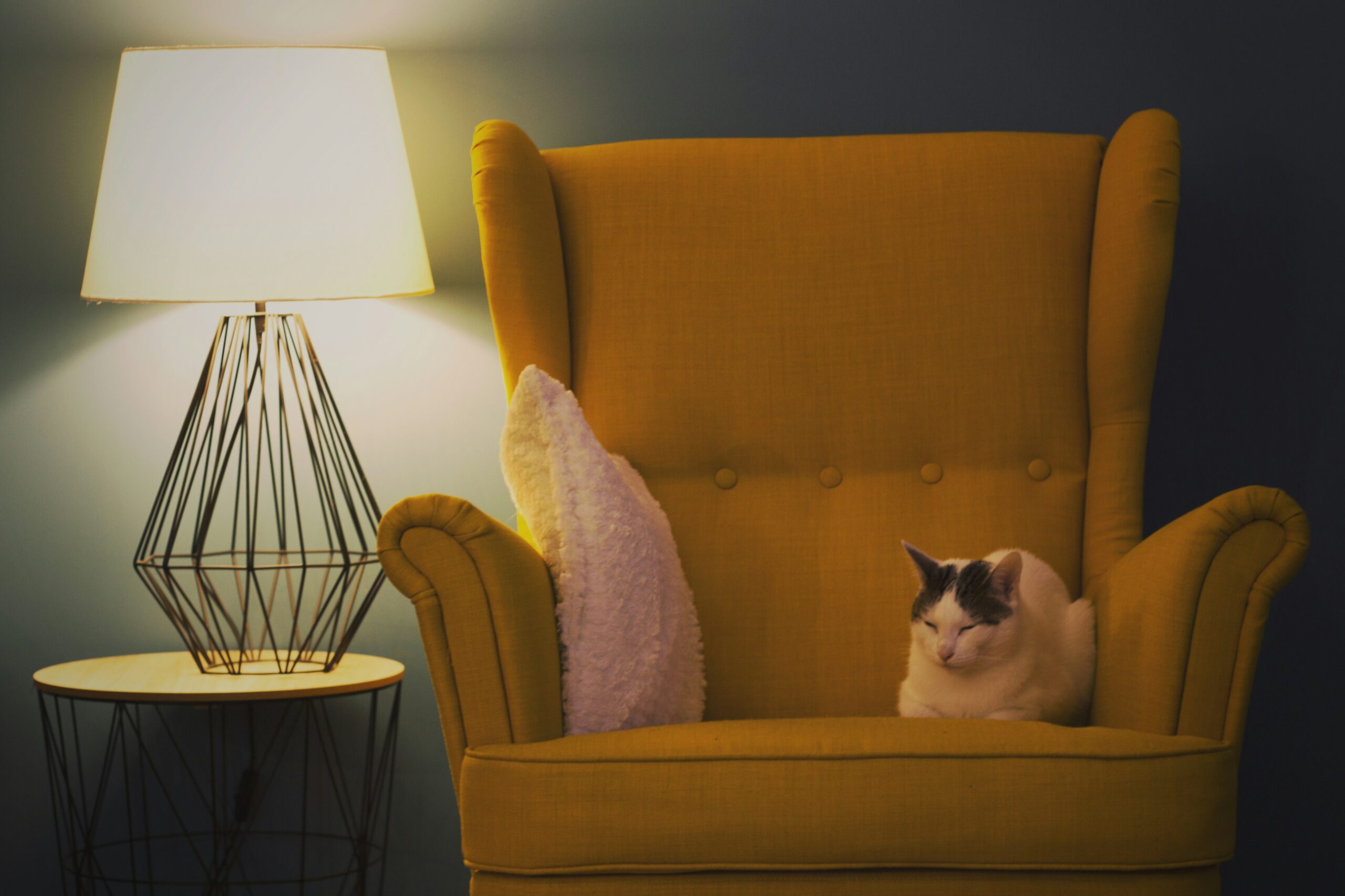 Senfgelber Ohrensessel mit Katze und warmer Tischlampe als gemütliche Leseecke