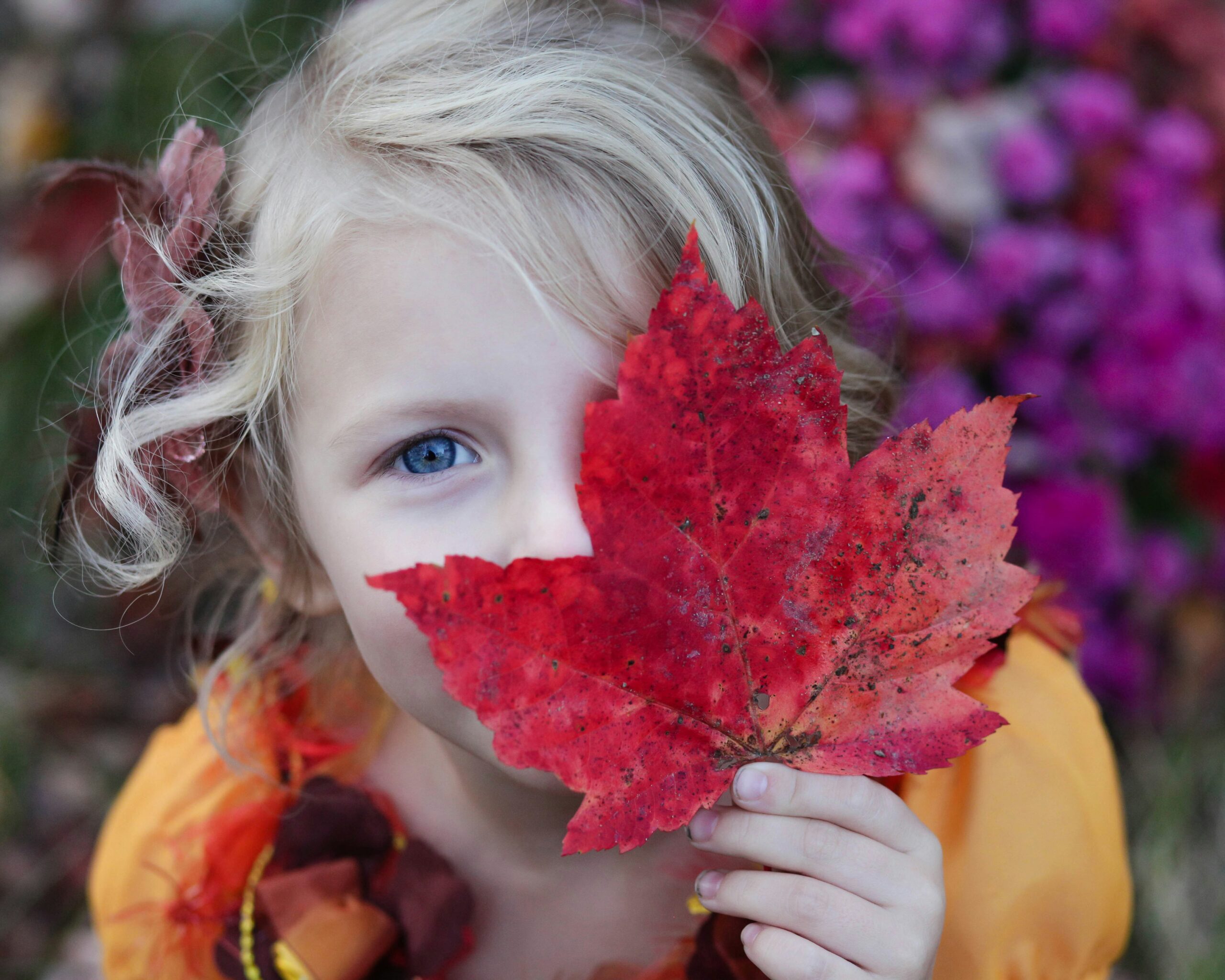 Basteln im Herbst mit Kindern: Blätter-Mobile aus Ast und Holzscheiben
