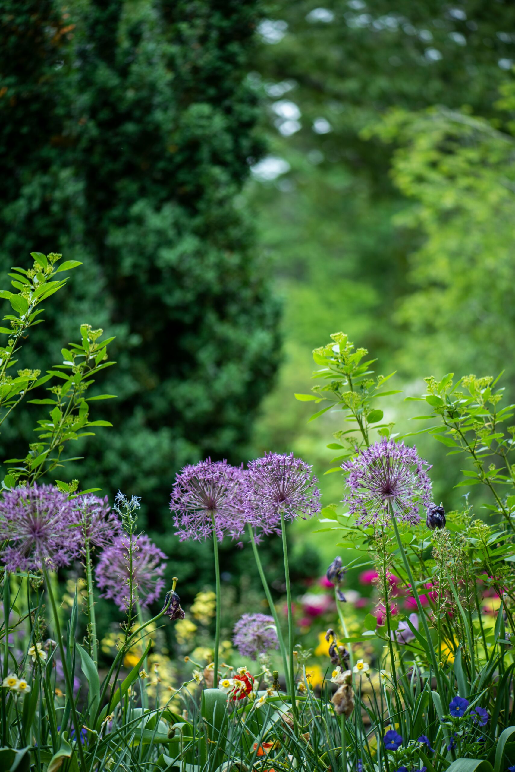 Kleiner Garten für die ganze Familie