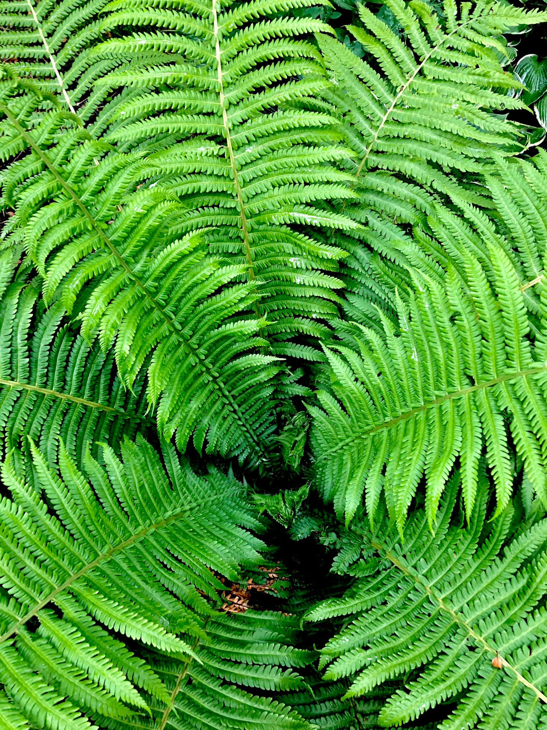 Gemütlicher Garten im Herbst